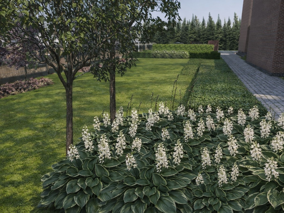 rabata z lawendą, perowskią i trawami ozdobnymi przy tarasie